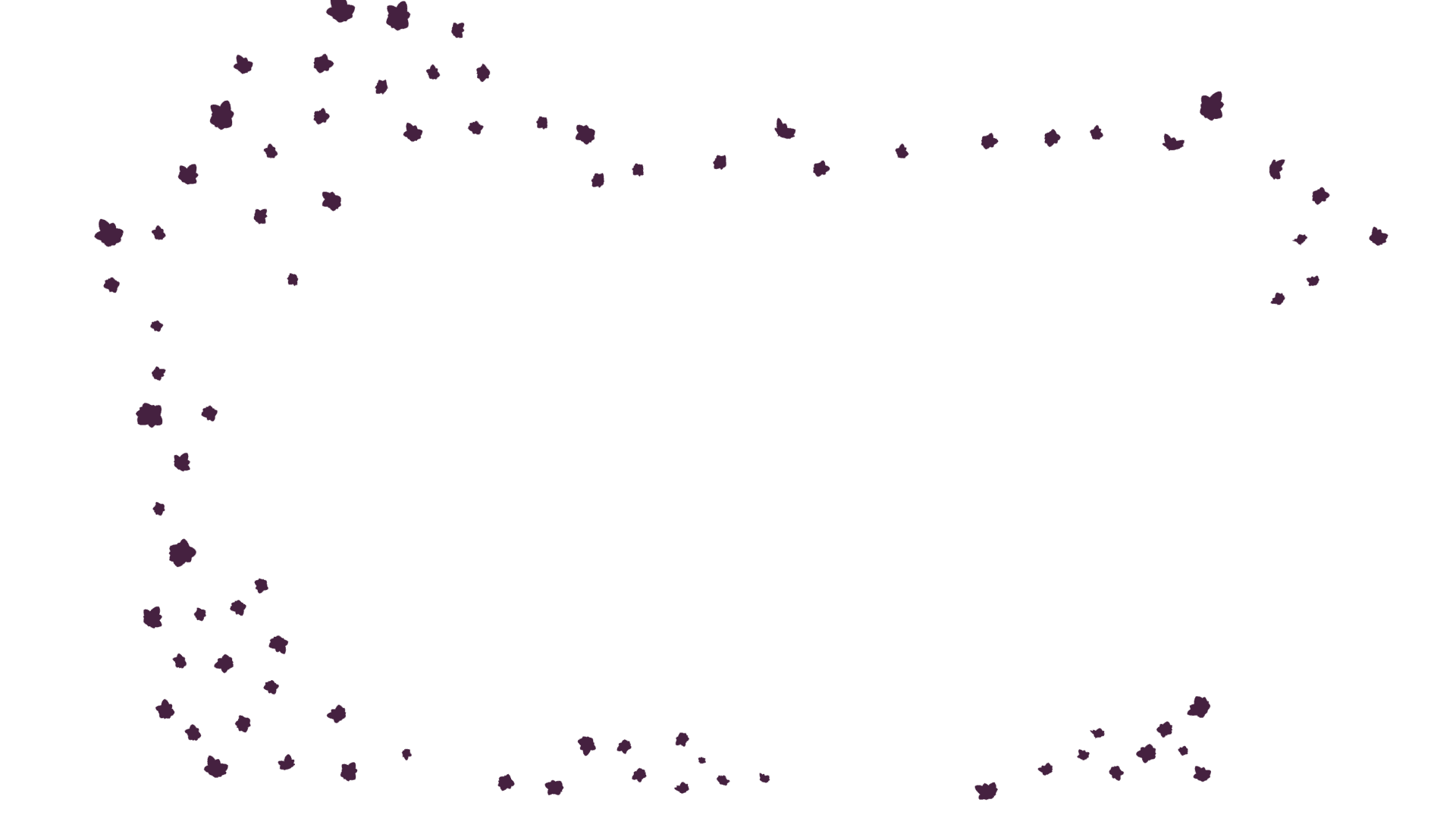 Elles sont magnifiques.